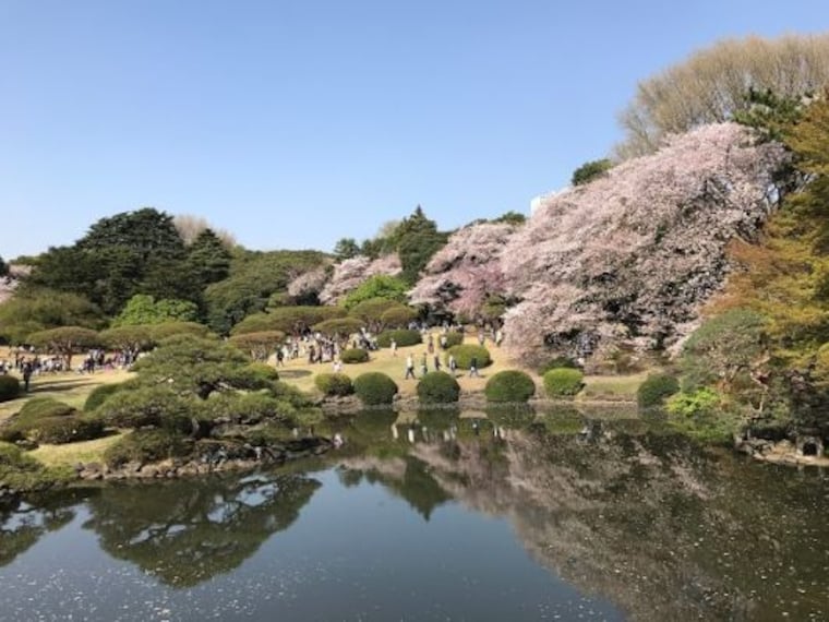 Shinjuku Gyoen National Garden-5
